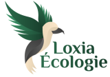 Loxia Ecologie