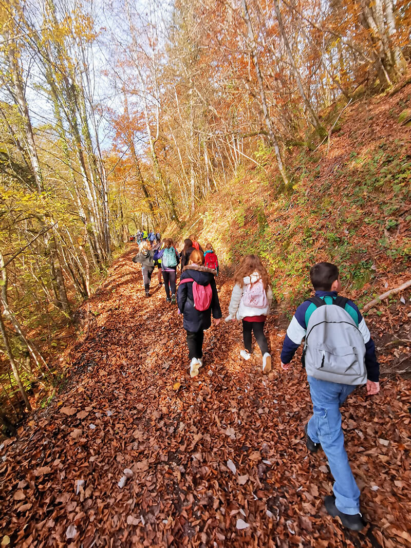 Fiches pédagogiques pour adultes et enfants
