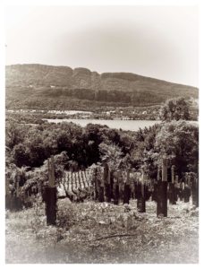 vue du domaine sepia