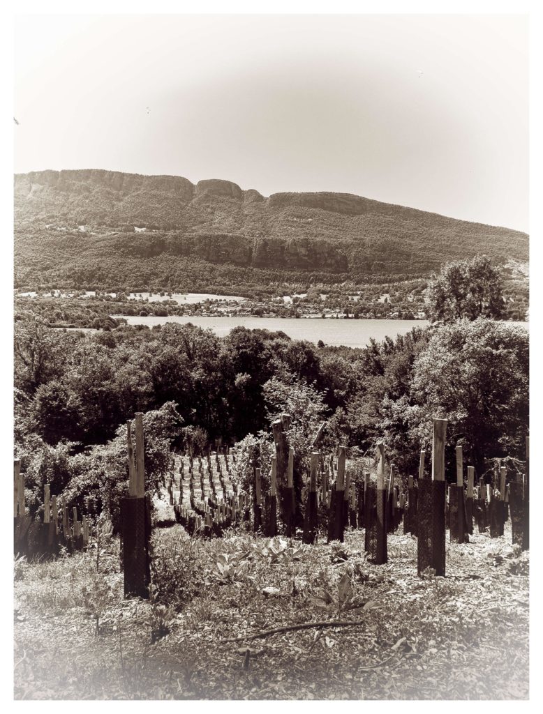 vue du domaine sepia
