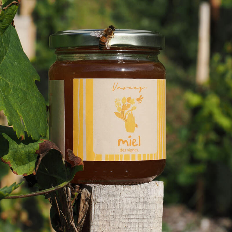 Miel - Première Miellée 2025