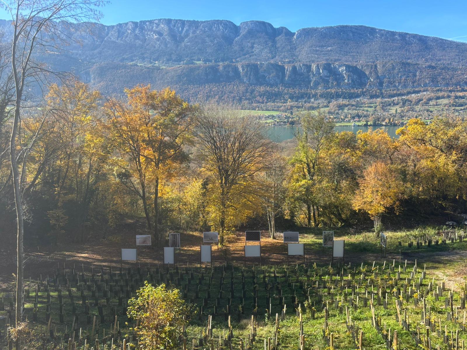 RENCONTRE AVEC LA PHOTOGRAPHE MARINE DU SORDET / Week-end Arts & Vignes à Vascoz