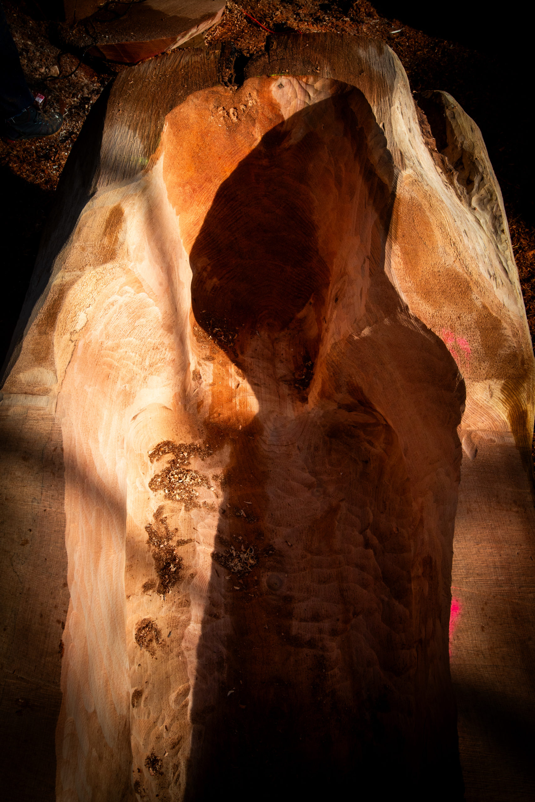 WEEK-END ARTS ET VIGNES : présentation des Oeuvres d'art par les artistes et dégustation de vin