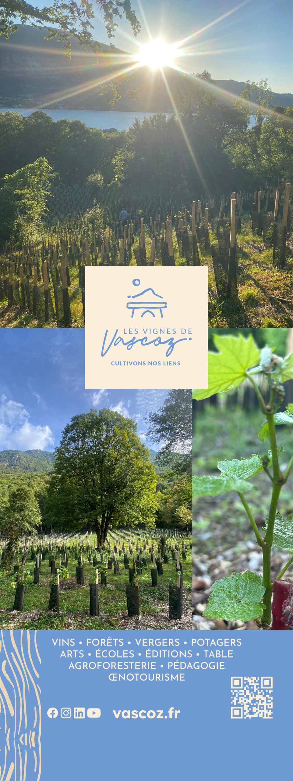 Billet pour 11h : visite guidée des vignes avec dégustation