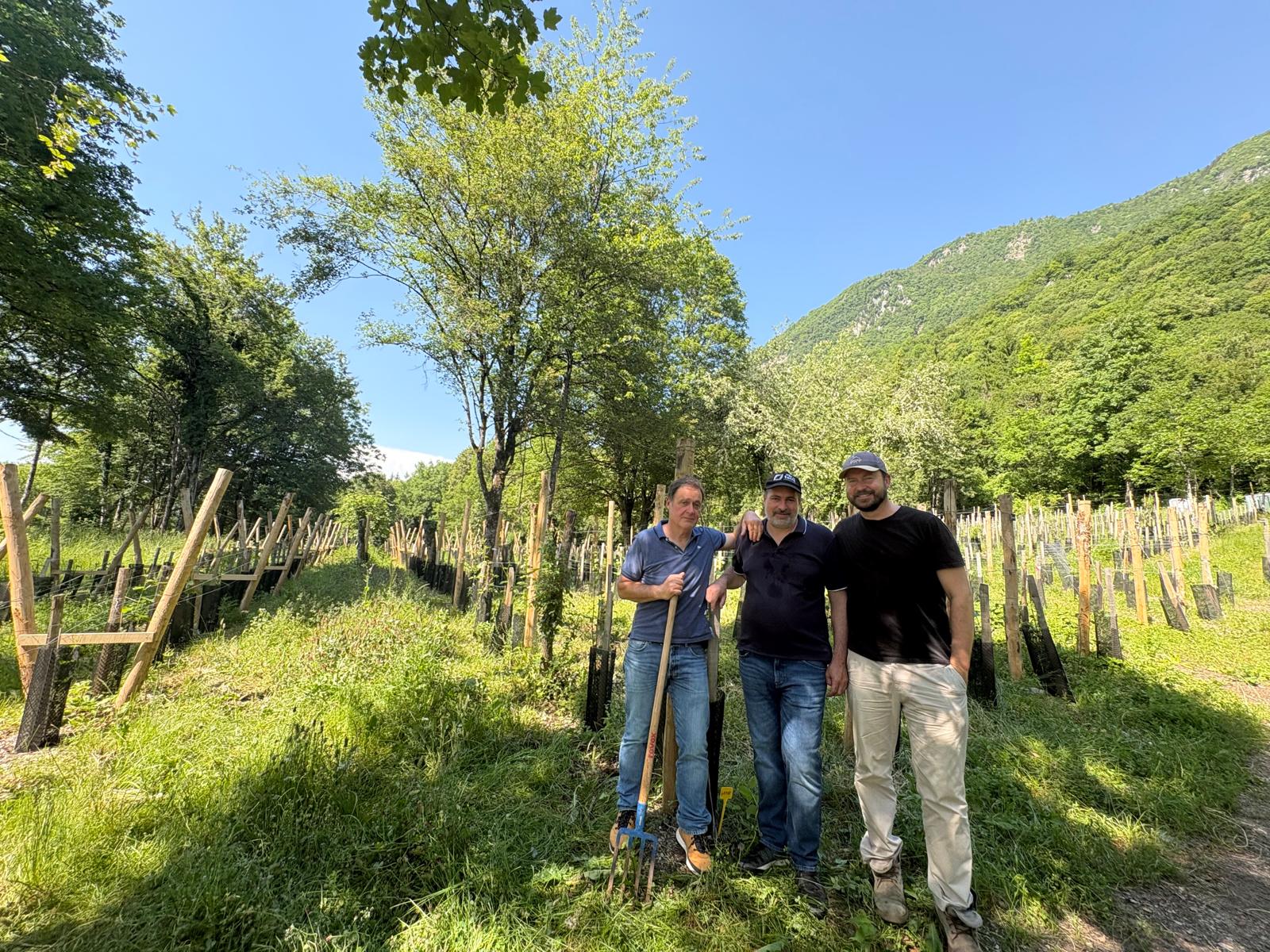 Visite autonome des Vignes de Vascoz