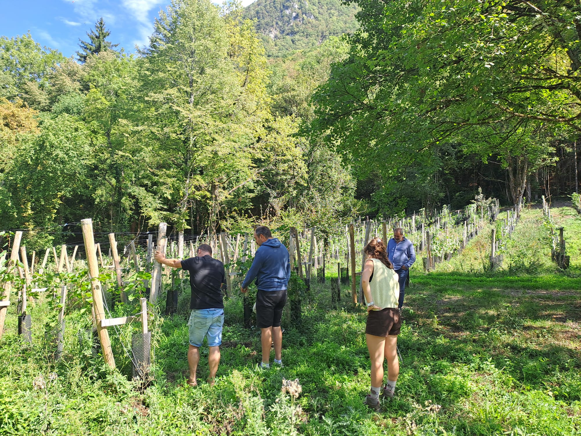 Les Matinales : chantiers participatifs